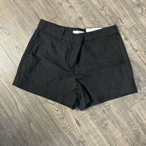 Loft Shorts